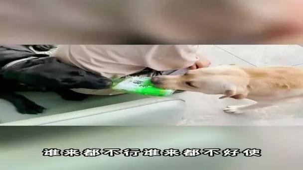 新闻中心 第21页