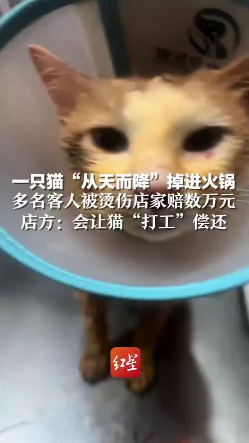 产品中心 第19页