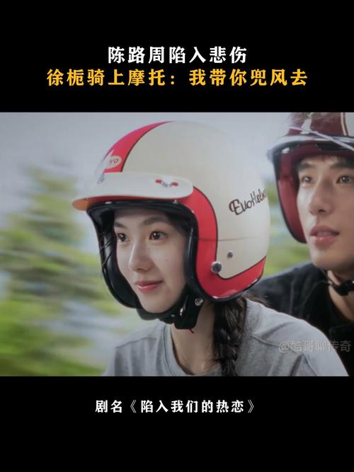 陷入我们的热恋声明,陷入 我们的热恋