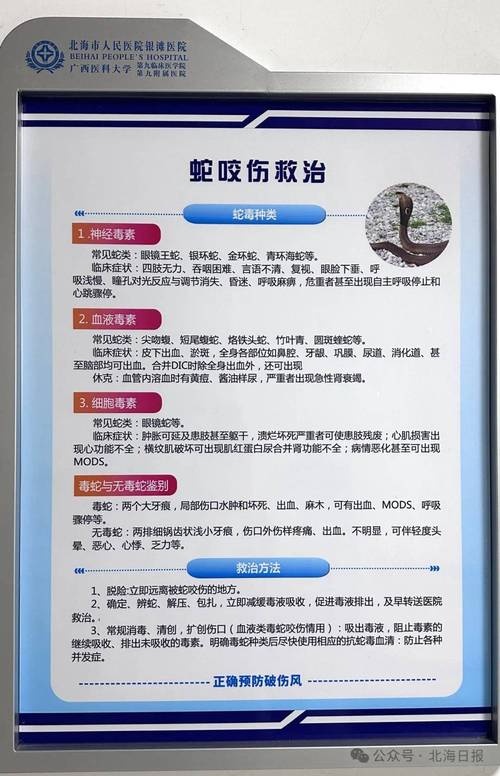 放生毒蛇有人被咬伤,放生毒蛇有人被咬伤怎么办